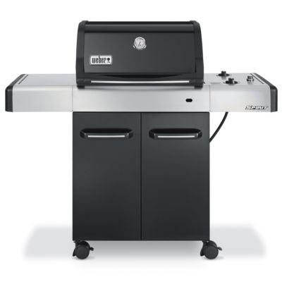 Weber 26,000 BTU Spirit® E-210™ Outdoor Gas Grill with 2 Stainless Steel Burners