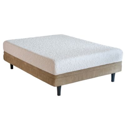 Serta Twin Extra Long iComfort Insight Mattress 749.0