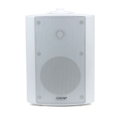Energy 5' 2-Way Indoor/Outdoor Speaker (2 in Box, Price for Each) 99.99