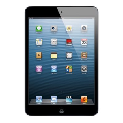 Apple iPad mini Wi-Fi 16GB Black 