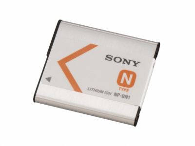 Sony Rechargeable Battery Pack 29.95