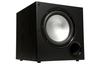 Polk Audio 100-Watt 10