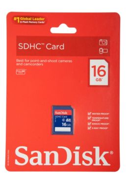 SanDisk 16GB SD High-Capacity Memory Card 14.99